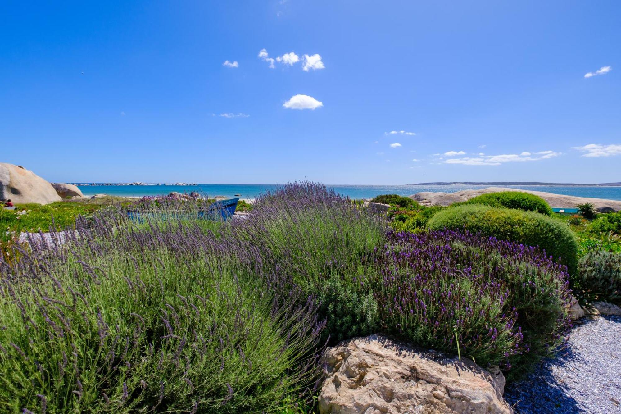 Dankbaar Holiday Home Paternoster Exterior photo